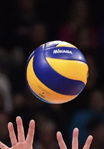  Pallavolo 